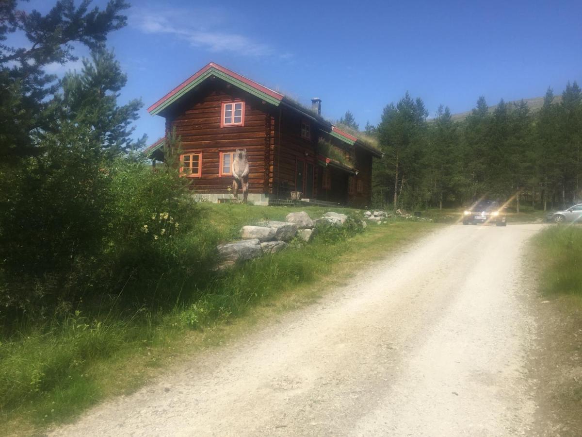 Rondane Sollia Friluftsliv Ovre Nordli 빌라 외부 사진
