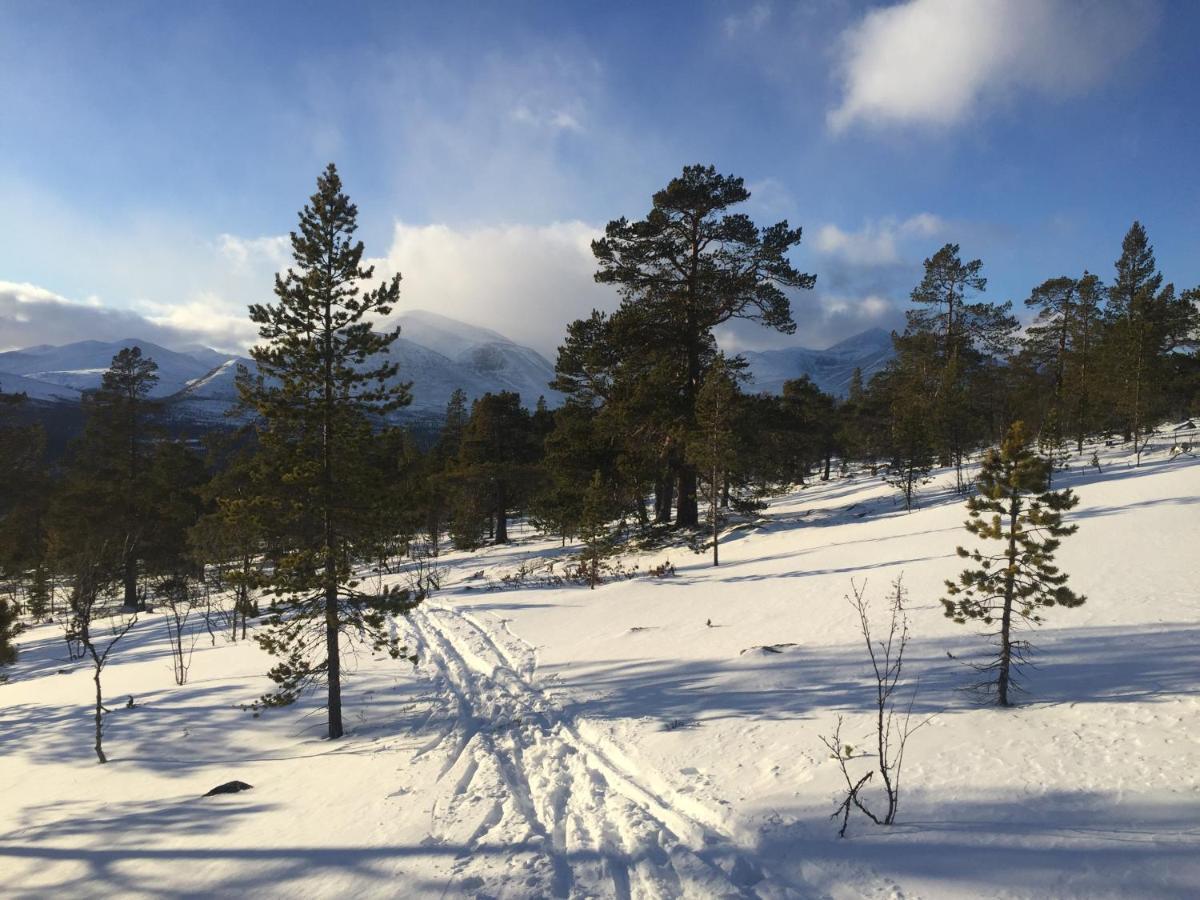 Rondane Sollia Friluftsliv Ovre Nordli 빌라 외부 사진