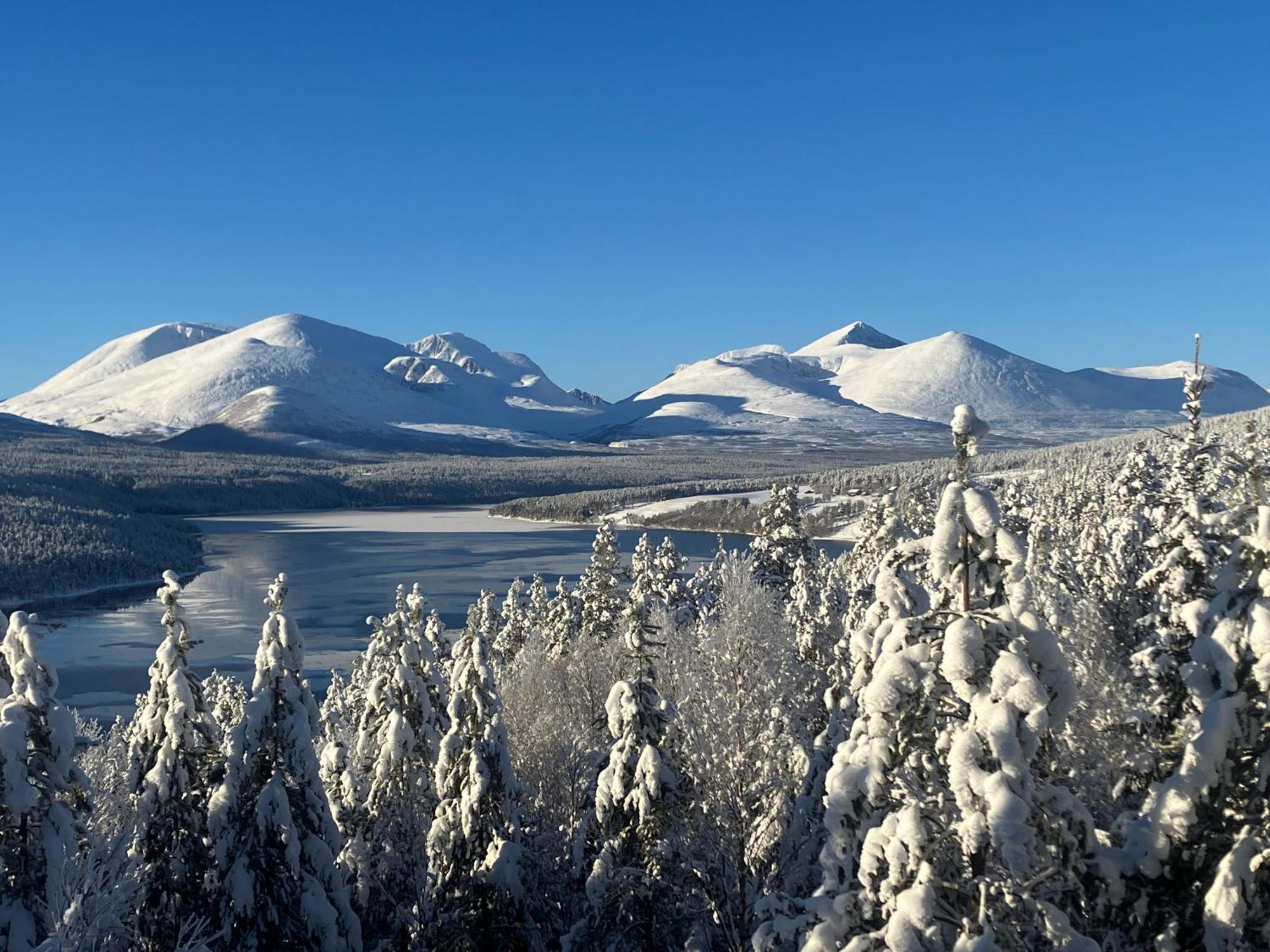 Rondane Sollia Friluftsliv Ovre Nordli 빌라 외부 사진